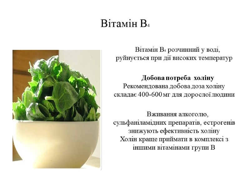 Вітамін В4 Вітамін В4 розчинний у воді, руйнується при дії високих температур  Добова